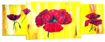 Mohn